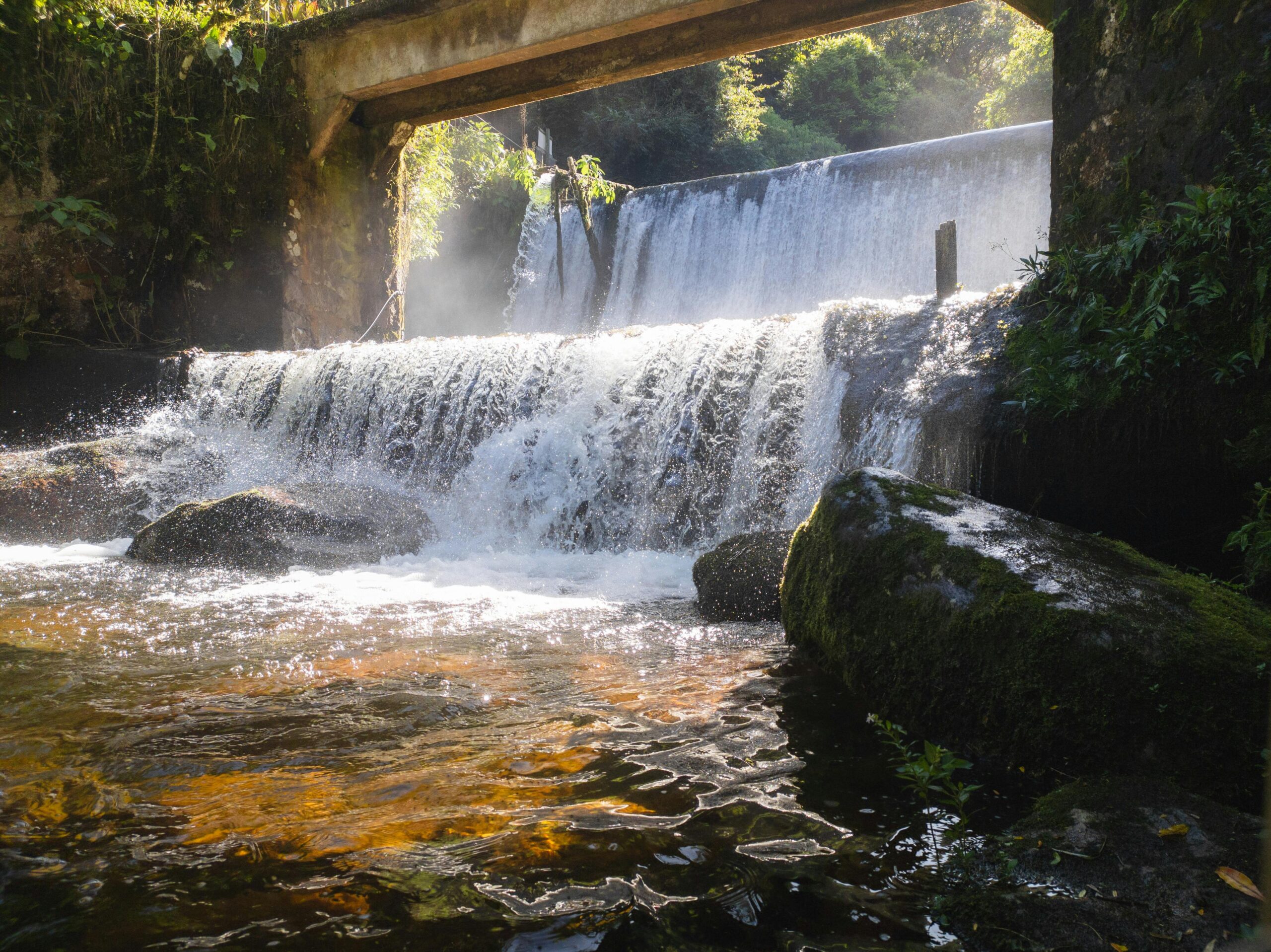 Home A serene waterfall cascading over rocks in a lush forest setting, perfect for nature enthusiasts.